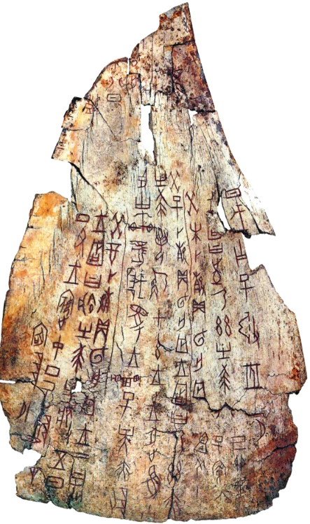 oracle-bone